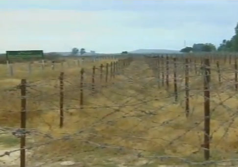 Les mines antipersonnelles posées par la France tuent toujours en Algérie. 40 000 morts!