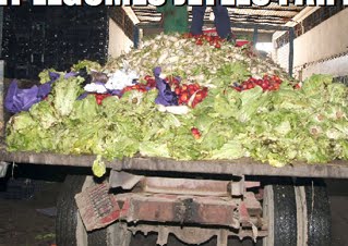 Marché de gros des  Eucalyptus (Alger) ,Près de 1500 tonnes de fruits et légumes jetées quotidiennement