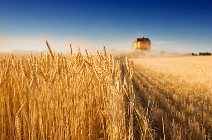 Rachid Benaïssa veut minimiser le volume des achats à l&rsquo;étranger: Un tiers des produits agricoles importes