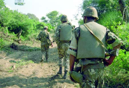 Boumerdès,Deux terroristes abattus à Legata