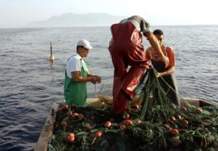 Campagne d’évaluation des ressources halieutiques : La fin de la pêche illicite ?