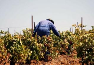 Investissements agricoles : 11 fermes pilotes ouvertes au partenariat