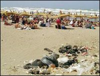 Plages de la côte Est ,C’est beau mais c’est sale !