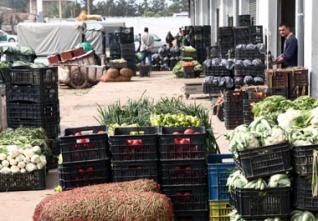 Produits alimentaires : Nouveau marché de gros à Sétif