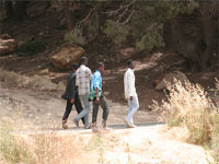 Traversée du désert avec les immigrants clandestins,La route de l’eldorado