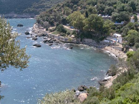 13 suicides en 9 mois à Béjaïa !