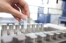 Algeria Vision 2020 finalisé dans trois mois: Un pôle biotechnologique en Algérie