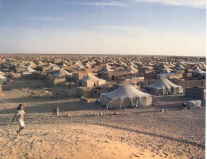 Camp de réfugiés sahraouis : le MAE confirme l&rsquo;enlèvement des trois ressortissants étrangers