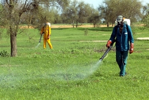 Elle est incontournable dans le développement de l’agriculture Transformation : à quand une véritable industrie ?