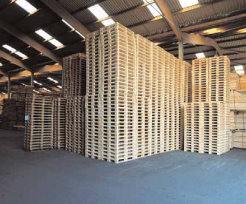 Industries du bois et du textile: Les professionnels veulent relancer le secteur manufacturier national