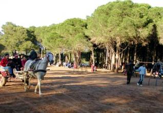 Journée internationale de la non-violence : La paix, une grande force entre les mains de l’humanité