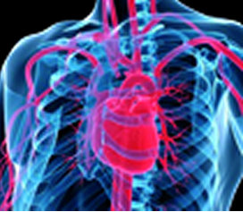 Aller chez le dentiste pour préserver… son cœur