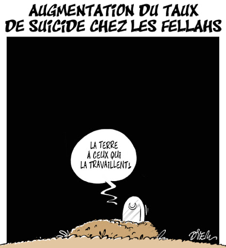 Augmentation du taux de suicide chez les fellahs
