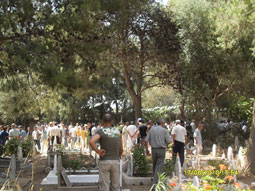 Blida : une wilaya en pleine expansion