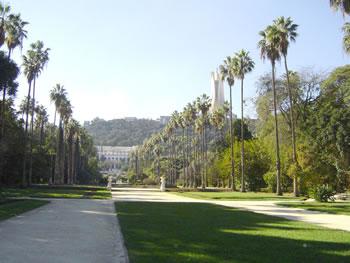 Des Gardiens du temple y sévissent,Le Jardin d&rsquo;Essai interdit aux couples