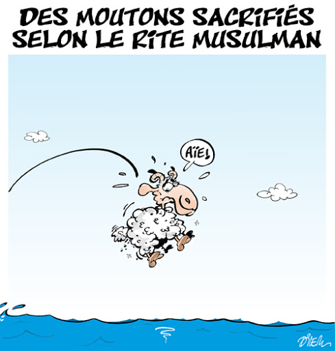 Des moutons sacrifiés selon le rite Musulman