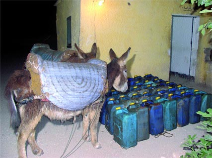 Nourriture,médicaments,cheptels,carburants et drogue,Trafic aux frontières : la grande saignée