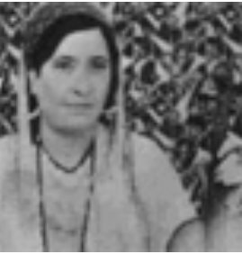 Tlemcen, Manifestations culturelles ,Hommage à Abdelkrim Dali et cheïkha Tetma