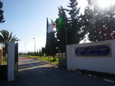 Algérie: Enthousiasme pour la biotechnologie mais beaucoup reste à faire dans la formation