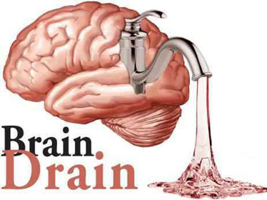 Algérie- Un portail internet pour des cerveaux déjà…. perdus