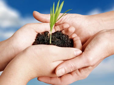 Au-delà de 2030-2040, le futur alimentaire de l’Algérie est incertain