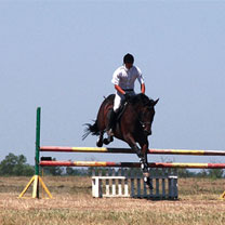 Coupe d&rsquo;Algérie de saut d&rsquo;obstacles : Boughrab (Soumâa) et la Garde républicaine vainqueurs