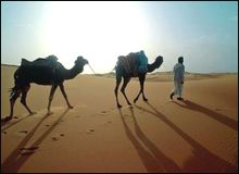 Des réductions allant de 40 à 60% sur les tarifs d’hébergement dans les zones touristiques du sud