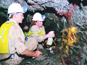 Enor : Sonatrach va reprendre les actions de GMA-ressources