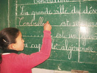 Enseignement des langues étrangères, Les causes du déclin