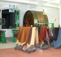 Industrie : Projet de transformation des déchets de tanneries en fertilisants agricoles