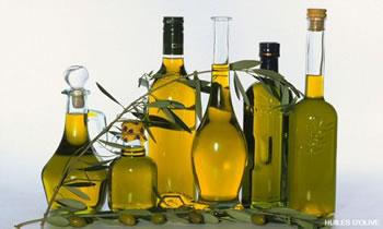 Le litre d&rsquo;huile d&rsquo;olive cédé à 500 dinars,Les familles s&rsquo;intéressent de nouveau à leurs oliviers