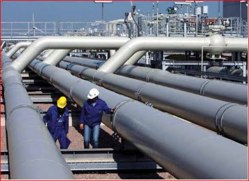 L&rsquo;énergie au menu d&rsquo;une rencontre Russie-Algérie