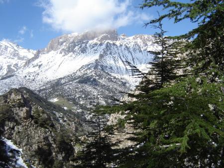 Les premières neiges font leur apparition sur les cimes du Djurdjura