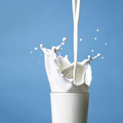 Menace sur la santé publique ,70% de la production de lait cru non contrôlés !