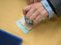 Prochaines échéances électorales ,Les démocrates face à leur destin