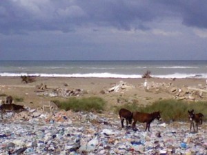 Un parc de loisirs sur le site de la décharge sauvage de Matroha à Tarf