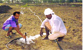 Usage agricole des eaux souterraines au Maghreb, 80% des nappes phréatiques sont exploitées en Algérie