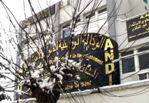 ANDI :Série de rencontres pour la promotion de l&rsquo;investissement dans le Sud et les Haut plateaux
