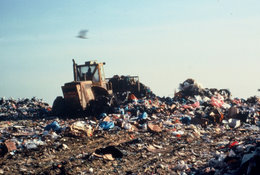Construction métallique, matériel ferroviaire, déchets solides…  L’Alsace concentre sa stratégie export sur l’Algérie