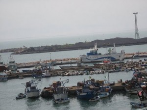 El Kala : 6 embarcations coulent au port de pêche
