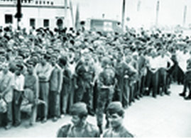 Guerre de Libération nationale,Regards croisés de Bernard Zimmerman et Laszlo Nagy