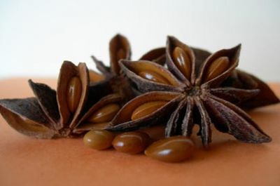 L&rsquo;anis étoilé ou Badiane