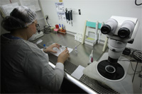 L&rsquo;Institut Pasteur d&rsquo;Algérie bénéficie d&rsquo;un crédit de 3 milliards de dinars