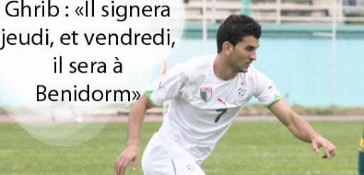 MCA : Sayoud, c’est OK