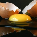 Pour tester la fraîcheur d&rsquo;un oeuf