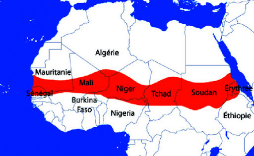 Sur fond de dégradation de la situation sécuritaire au Mali,Les pays du champ sur le qui-vive