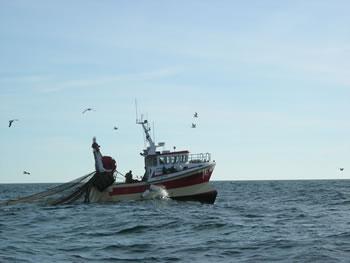 Tragédie du bateau «el khalil »de Ténès ,Les deux hypothèses du drame