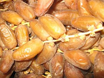 Un dispositif d’alerte a été mis en place,Péril sur la datte algérienne