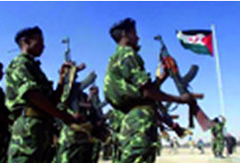 Accord de libre échange entre le Maroc et l’UE incluant le Sahara Occidental Le Front Polisario dénonce