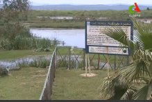 Algérie : la magnifique réserve naturelle d’El Kala